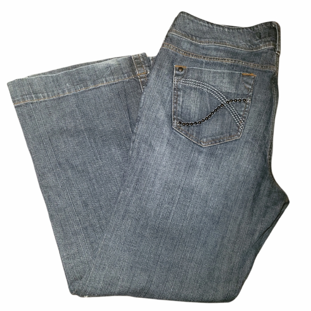 Freestyle Plus Size Revolution Jeans
